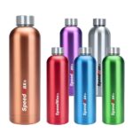 750ML Stainless Steel Thermo Bottle