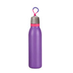 750ML Stainless Steel Insulated Bottle - Image 2